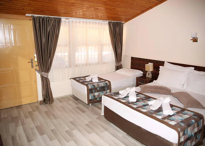 Sinemis Hotel Adrasan