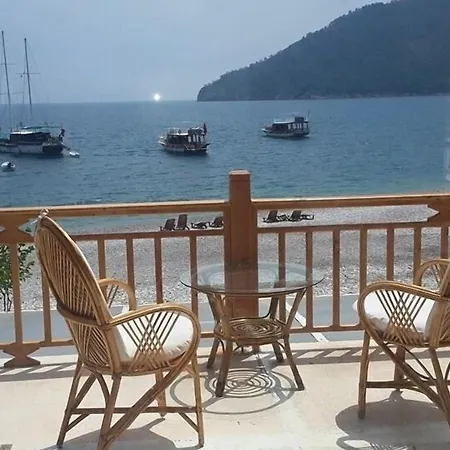 Hotel Sinemis *