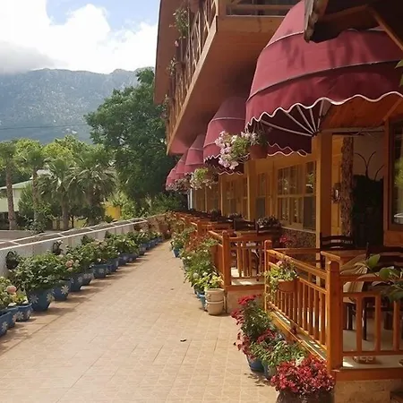 Sinemis أدراسان