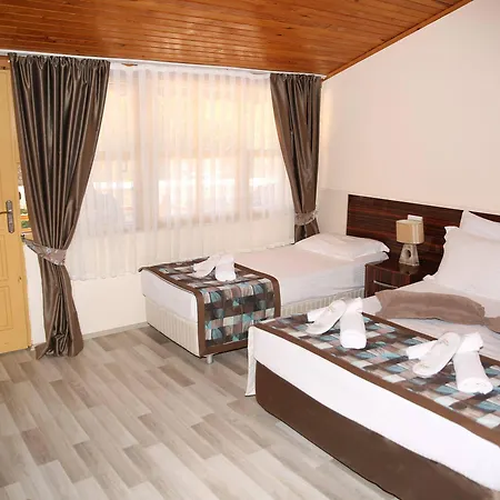 Sinemis فندق أدراسان